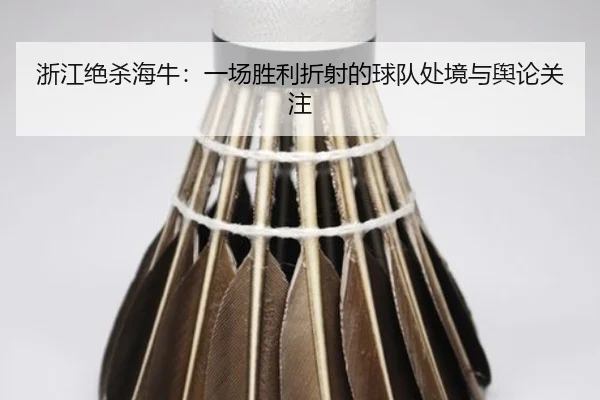 浙江绝杀海牛：一场胜利折射的球队处境与舆论关注